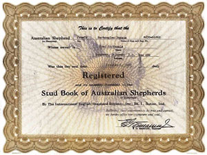 Золотой сертификат IESR